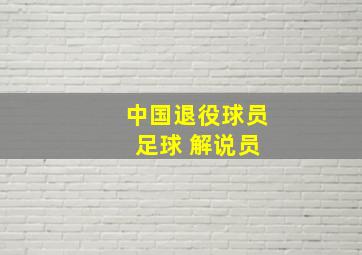 中国退役球员 足球 解说员